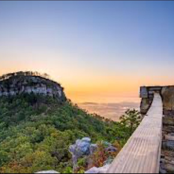 🎉I’m Pam & Hello 👋 from Mount Airy, NC, OH born & raised tho #DontQuitBoutique - Picture 16 of 16